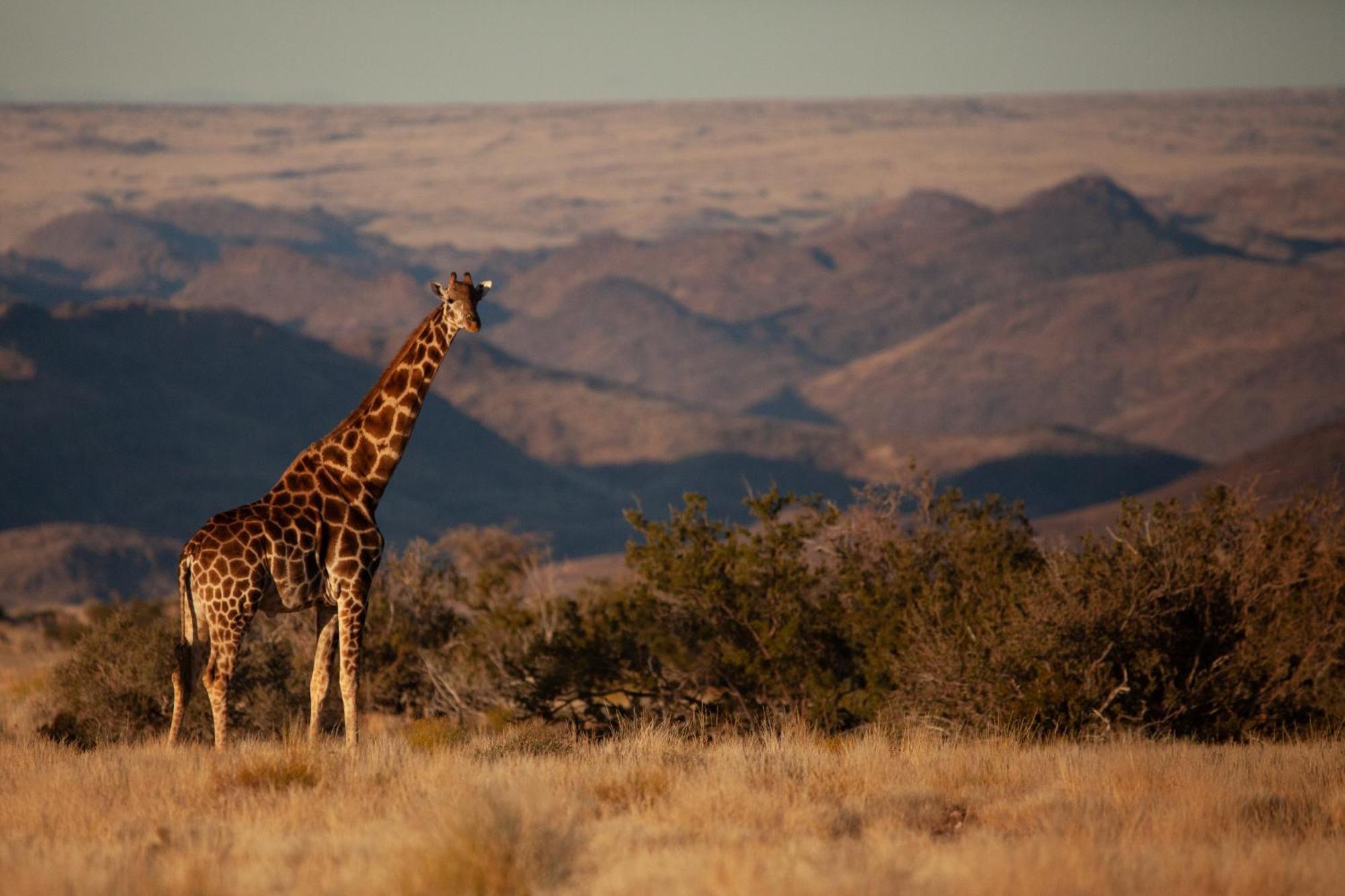 Sandfontein Lodge & Nature Reserve Kültér fotó