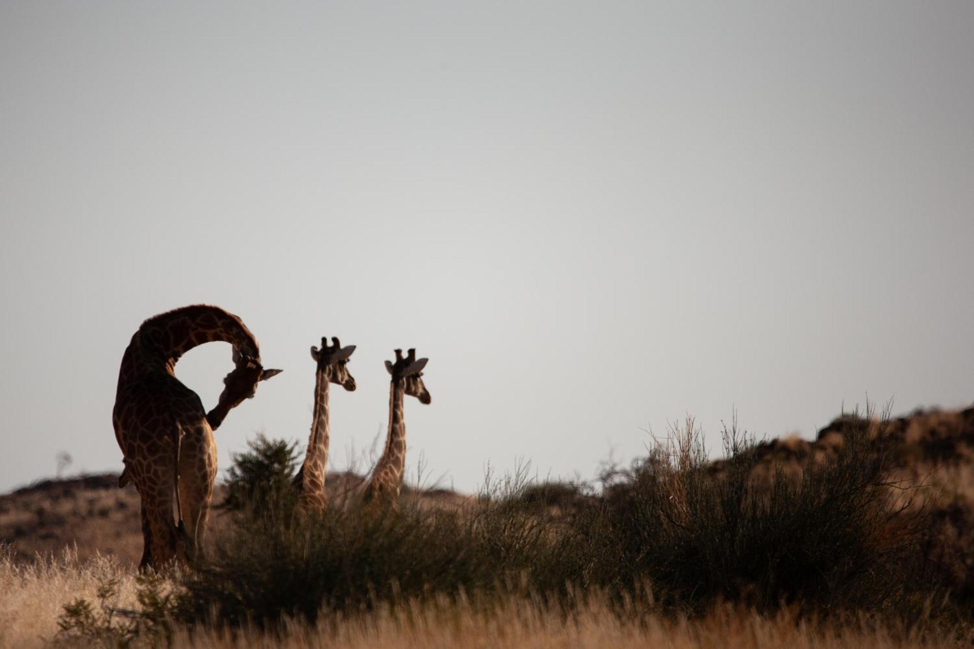 Sandfontein Lodge & Nature Reserve Kültér fotó