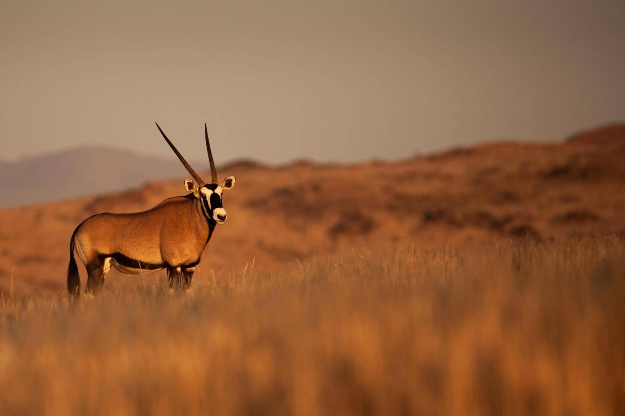 Sandfontein Lodge & Nature Reserve Kültér fotó